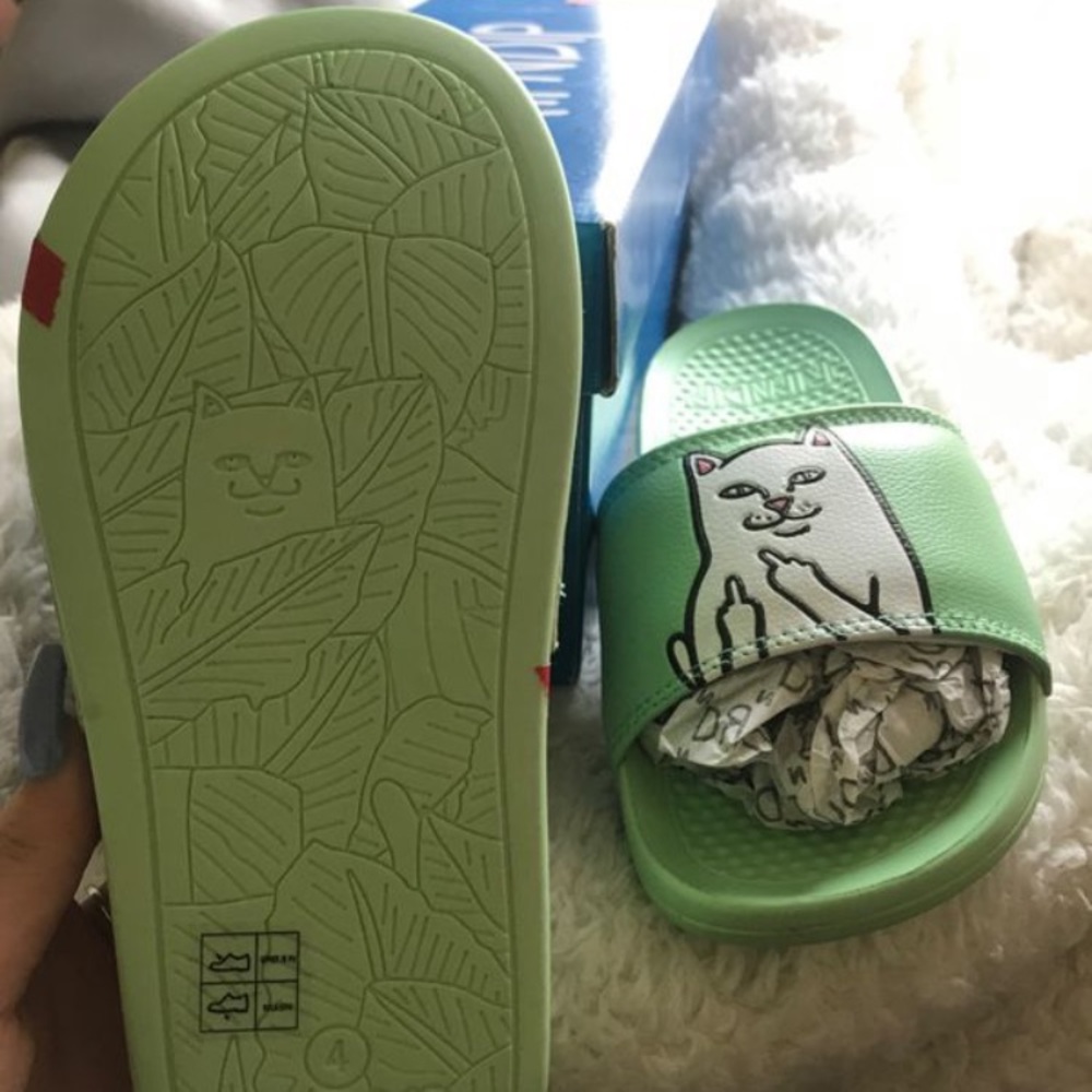 RIPNDIP Slides